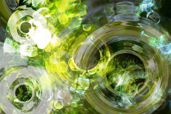 大手町をデジタルネイチャーで演出　落合陽一が手掛けるインスタレーション『nullの木漏れ日』6月9日より展示