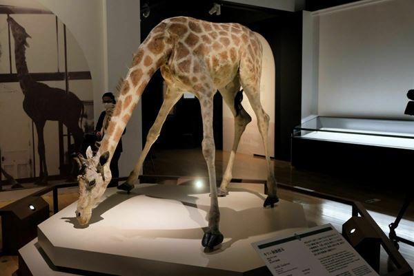 89件の国宝を一挙公開！「刀剣の間」も『国宝　東京国立博物館のすべて』開幕