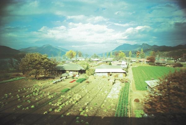 “祈り”というキーワードに基づいたストーリーを持った展覧会『祈り・藤原新也』開催