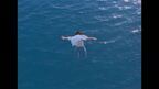 あいみょんが初めて海に飛び込むシーンも、全編沖縄で撮影された「双葉」MV公開