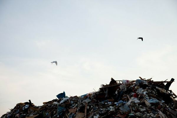 人の営みや自然との関係について問い直す『川内倫子：M/E 球体の上 無限の連なり』開催