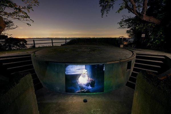 夜の無人島「猿島」でスマホを封印しアート体験を 『Sense Island-感覚の島-暗闇の美術島 2022』開催中