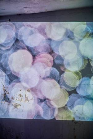 夜の無人島「猿島」でスマホを封印しアート体験を 『Sense Island-感覚の島-暗闇の美術島 2022』開催中