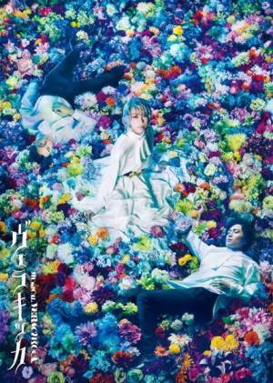 3種類の視点どれで観る？　美弥るりか主演TRUMPシリーズ最新作『ヴェラキッカ』東京公演の3ステージがライブ配信決定