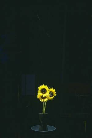 柴咲コウ、3年ぶりバースデーライブのオフィシャルレポート到着「後悔のないように生きたい」