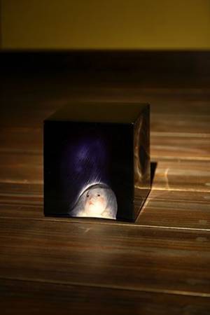 現代絵画と彫刻における写実表現を検証『リアル（写実）のゆくえ　現代の作家たち』4月9日より開催