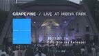 GRAPEVINE7年ぶりライブ映像作品『LIVE AT HIBIYA PARK』11月発売、こだわりのトレイラー公開