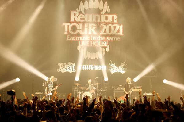 エルレ×10-FEET× ホルモンが夢の競演『Reunion TOUR』オフィシャルレポート到着