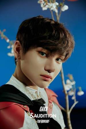 HYBE JAPANのオーディション番組『&AUDITION - The Howling -』練習生含む全15名の写真を公開