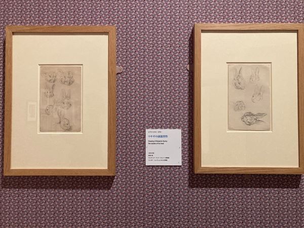 シリーズ第1作の彩色画全点を日本初公開　『出版120周年　ピーターラビット(TM)展』世田谷美術館で開幕