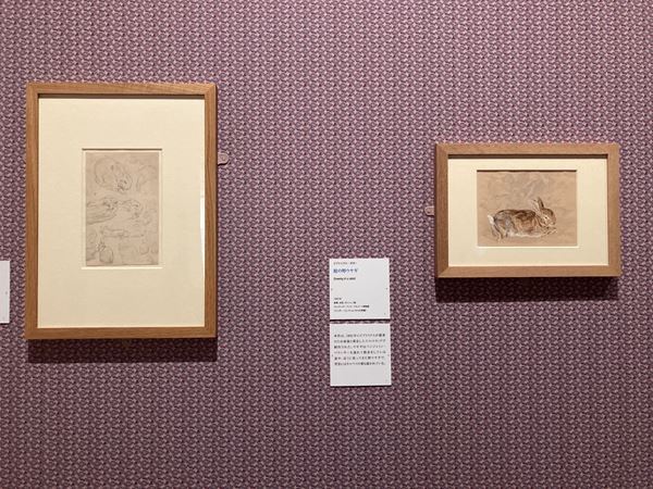 シリーズ第1作の彩色画全点を日本初公開　『出版120周年　ピーターラビット(TM)展』世田谷美術館で開幕