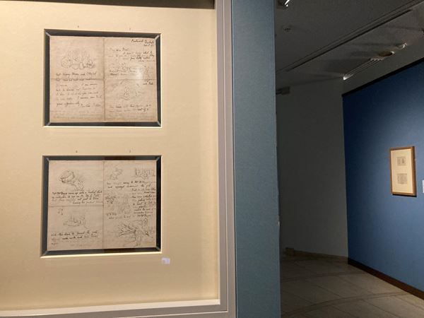 シリーズ第1作の彩色画全点を日本初公開　『出版120周年　ピーターラビット(TM)展』世田谷美術館で開幕