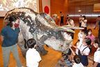 今年の夏も「リアル恐竜ショー 恐竜パーク」がやってくる！　大型恐竜3頭が日本で初めて勢ぞろい