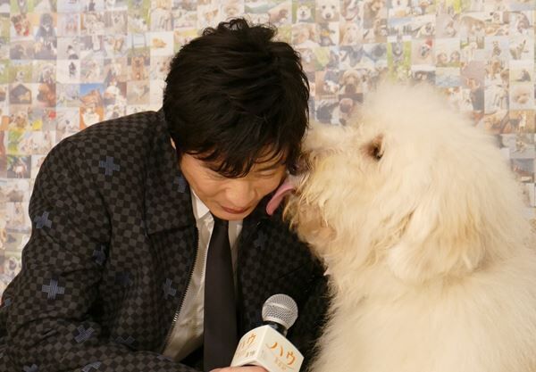 田中圭、共演した“俳優犬”の演技を絶賛「ちゃんと“ひとり”で芝居をしている」