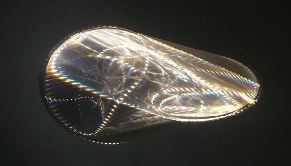 身体感覚をともなった新しいアート体験を　『視覚トリップ展―ウォーホル、パイク、ボイス 15人のドローイングを中心に』開催