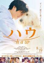 田中圭出演『ハウ』、主題歌がGReeeeN「味方」に決定　ハウの民夫への気持ちが溢れ出る予告映像も公開