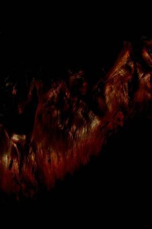 八木マリヨ・八木夕菜の二人展『地殻を辿る』、9月16日よりポーラ ミュージアム  アネックスで開催