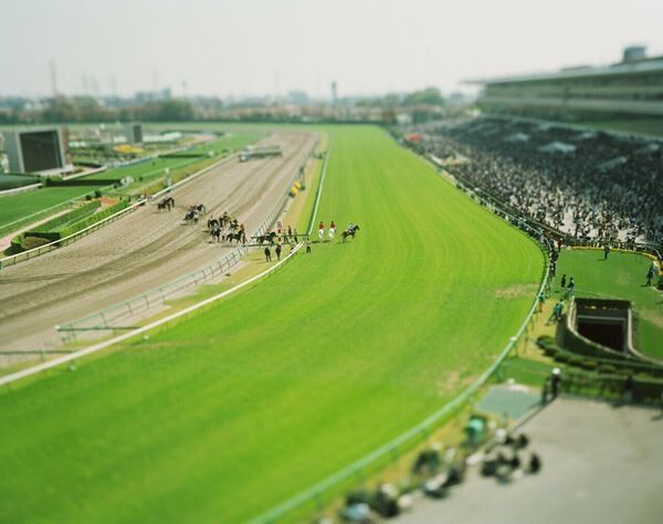 《Nakayama Racecourse, Chiba, Japan》2005（small planetシリーズより） (c) Naoki Honjo