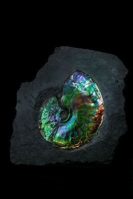 宝石を多角的に見て、知って、理解できる特別展『宝石　地球がうみだすキセキ』が国立科学博物館で開催