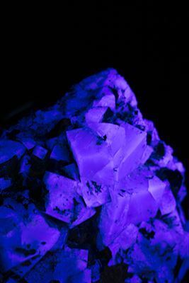 宝石を多角的に見て、知って、理解できる特別展『宝石　地球がうみだすキセキ』が国立科学博物館で開催