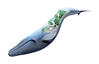 宝石を多角的に見て、知って、理解できる特別展『宝石　地球がうみだすキセキ』が国立科学博物館で開催