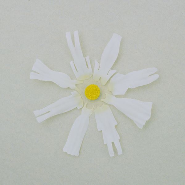 wacciの全国ツアー東京公演に松下洸平のゲスト出演が決定、ドラマ『やんごとなき一族』挿入歌をスペシャルコラボで披露