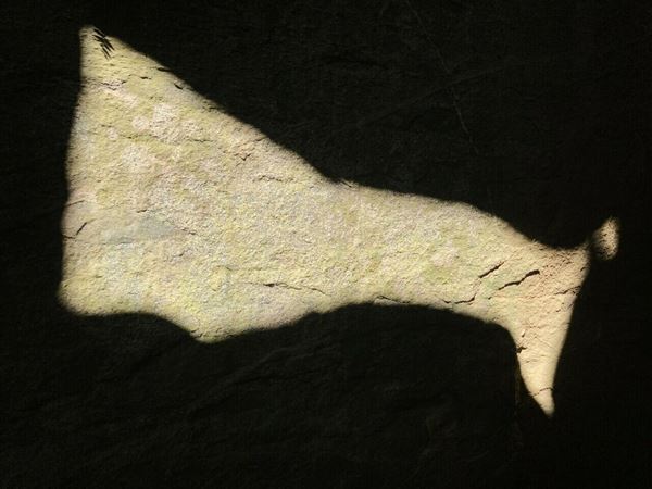 国内外で活躍するアーティスト・泉太郎、東京では初の大規模個展『Sit, Down. Sit, Down Please, Sphinx : 泉太郎』を開催