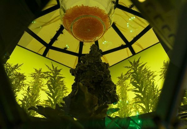 国内外で活躍するアーティスト・泉太郎、東京では初の大規模個展『Sit, Down. Sit, Down Please, Sphinx : 泉太郎』を開催