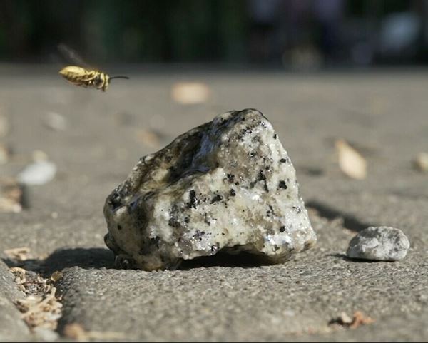 国内外で活躍するアーティスト・泉太郎、東京では初の大規模個展『Sit, Down. Sit, Down Please, Sphinx : 泉太郎』を開催