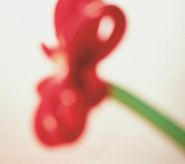 マカロニえんぴつがメジャー1stフルアルバムの詳細発表、DISH//提供曲「僕らが強く。」セルフカバーも