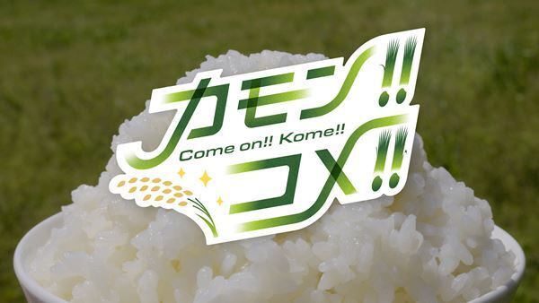 wacci、しまじろうとのコラボ曲「Come on!! Kome!!」本日配信スタート