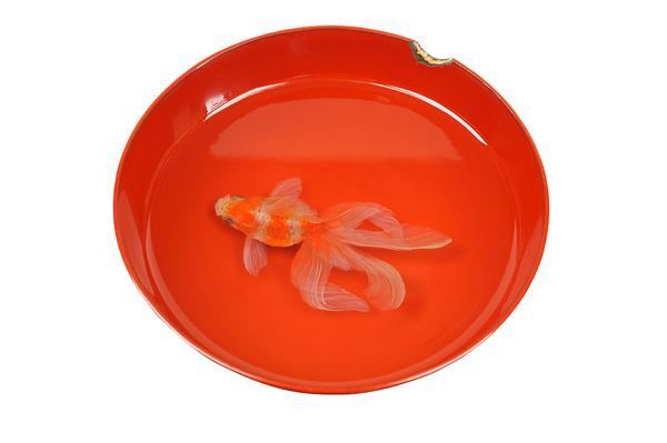 2022年のお正月はアート三昧！　三が日から開いている美術館をご紹介