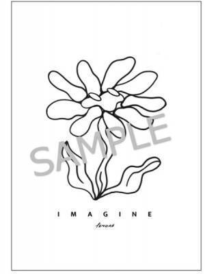 TENDRE、アルバム『IMAGINE』発売記念ライブをYouTube生配信