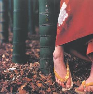 スピッツ、インディーズ盤楽曲を追加収録した『花鳥風月＋』発売決定 『色色衣』『おるたな』アナログ化も