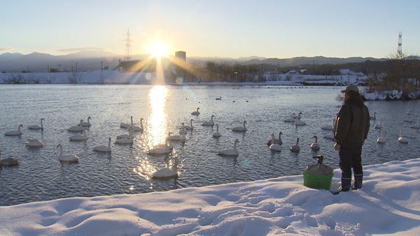 石崎ひゅーい、主題歌担当の映画『私は白鳥』予告編で新曲「スワンソング」解禁