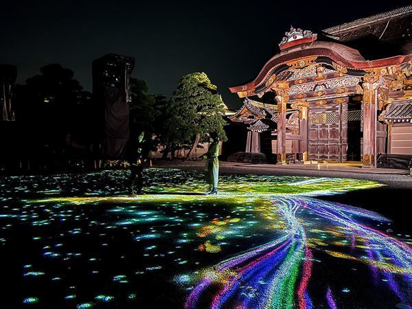 光の演出とライトアップで夜の二条城を彩る「二条城夜会」が大盛況