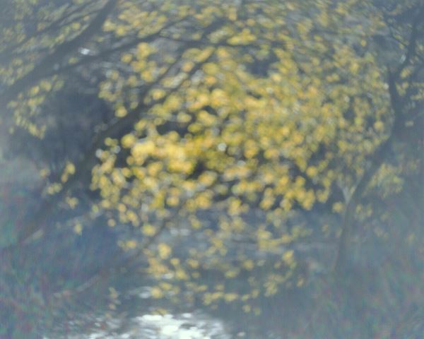 時空を超えた 芸術の魅力を探る『桃源郷通行許可証』10月22日より開催