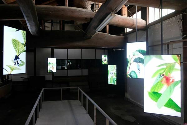 奈良美智、塩田千春ら総勢100組が参加　「あいち2022」展示の模様をダイジェストで紹介　