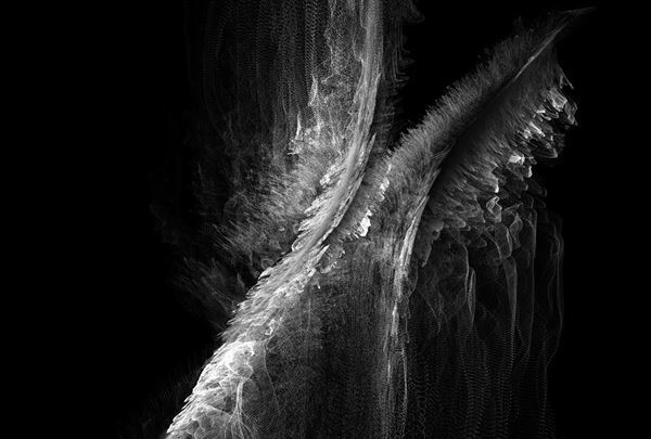 イメージを作り出す「方法」に注目し新たな芸術表現に挑んだ作家を紹介『イメージ・メイキングを分解する』開催中