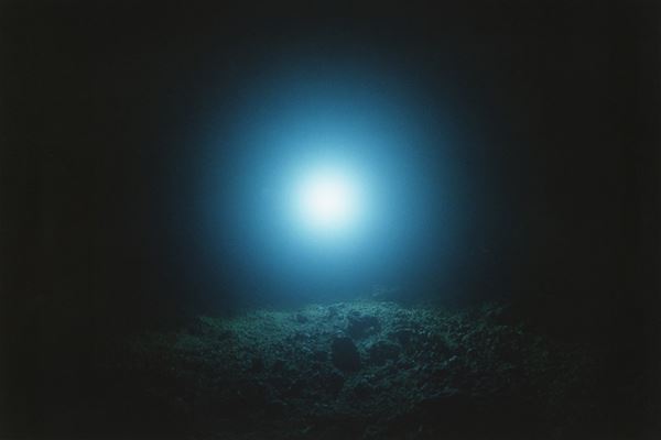 新作、近作から過去の代表作まで 野口里佳の現在地を示す『野口里佳　不思議な力』10月7日より開催