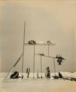 シュルレアリスムに触発され誕生した「前衛写真」の本質に迫る『アヴァンガルド勃興　近代日本の前衛写真』