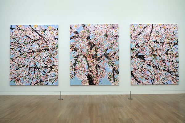 『ダミアン・ハースト　桜』国立新美術館にて開幕　巨大キャンバスに描かれた満開の桜でひと足早いお花見を