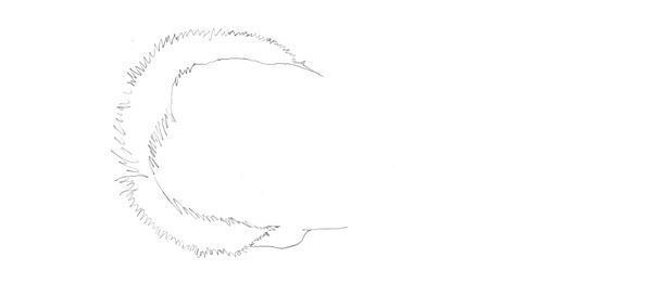 【クリント・イーストウッド】ぴあ及川正通イラストの制作過程をレポート