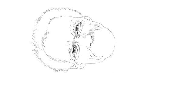 【クリント・イーストウッド】ぴあ及川正通イラストの制作過程をレポート