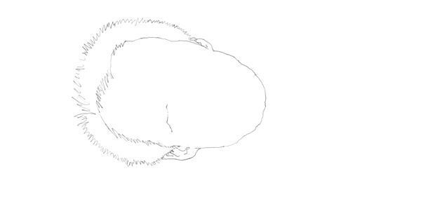 【クリント・イーストウッド】ぴあ及川正通イラストの制作過程をレポート