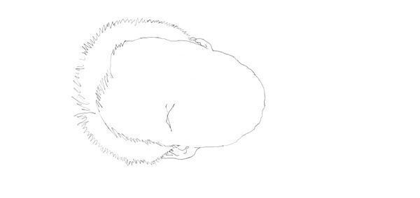 【クリント・イーストウッド】ぴあ及川正通イラストの制作過程をレポート