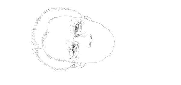 【クリント・イーストウッド】ぴあ及川正通イラストの制作過程をレポート