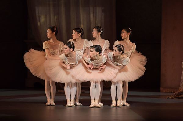 新国立劇場バレエ団『コッペリア』無料の無観客ライブ配信決定