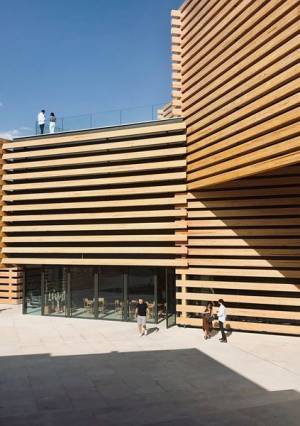 隈研吾の建築を、ネコの目線で再検証！？　クマとネコの意外な関係とは？