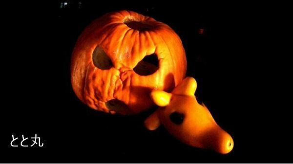 メタバースからアーティストを応援　NeoMe『TRY METAVERSE コンテスト～歌ってみた＆演奏動画～』投票イベントを4月19日開催